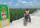 Jalan TMMD Kodim Pati Permudah Petani, Mbah Sukardi Kini Lebih Mudah Angkut Hasil Panen